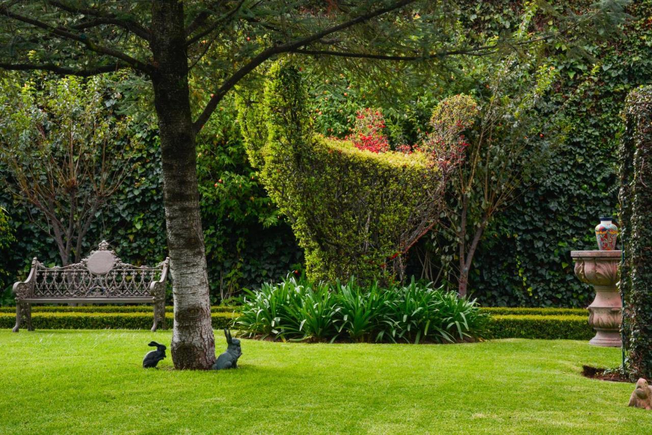 Quinta Del Rey Hotel Toluca Bagian luar foto